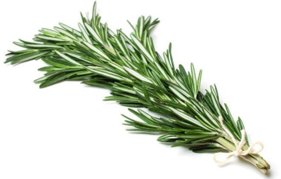 Benefícios do Alecrim 