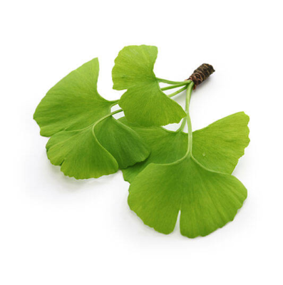 zumbidos crónico nos ouvidos