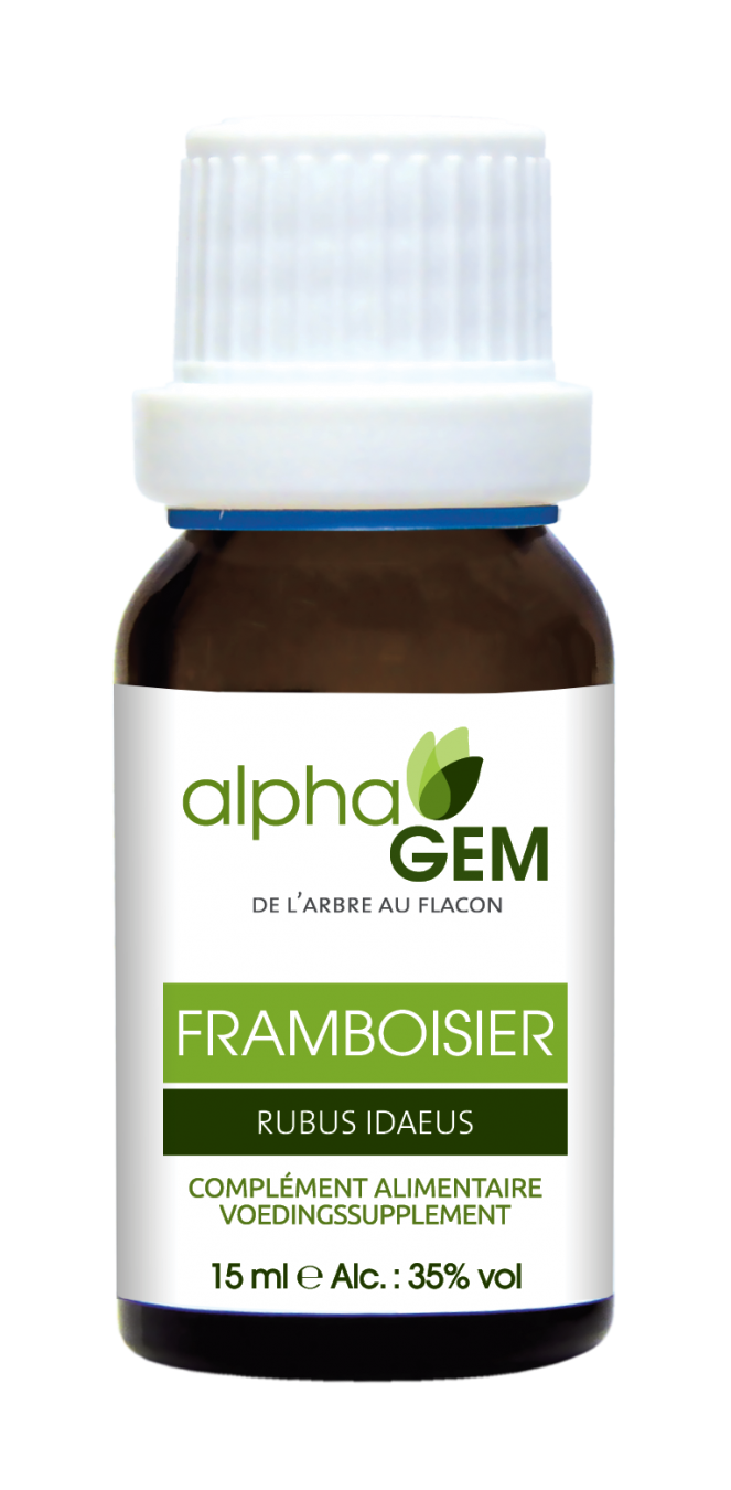 Framboeseira-15ml-Alpha-Gem-celeirointegral